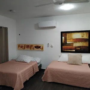  Apartamento Estudio Zona Centro Cerca De La Terminal Ado
